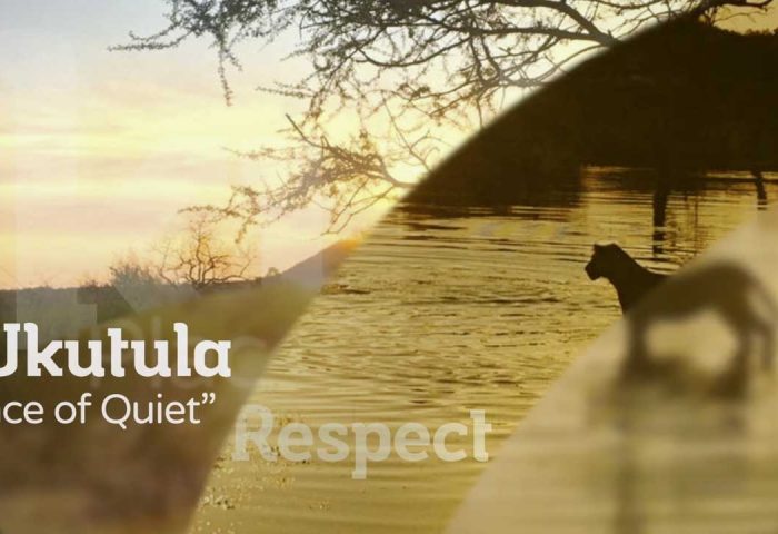 Ukutula Wildlife