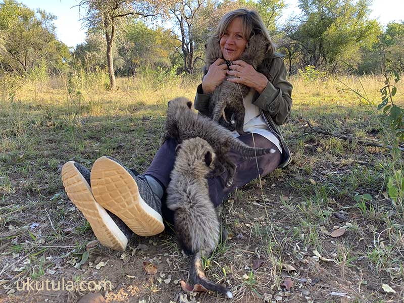  Wildlife News